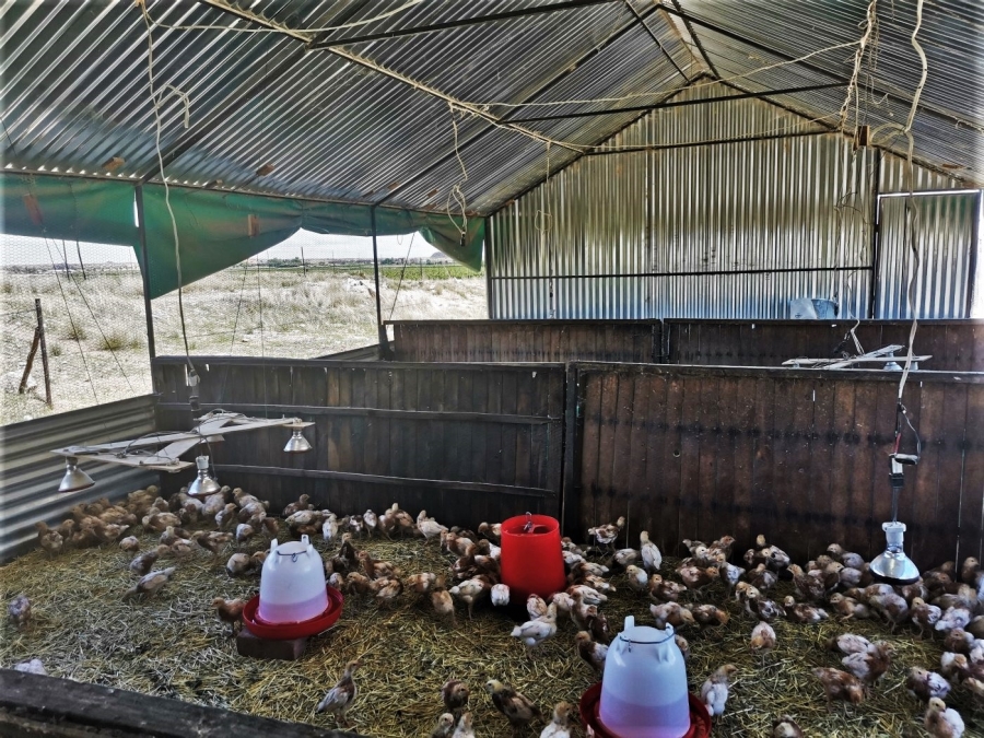 Commercial Property for Sale in Upington Rural Northern Cape